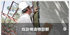 既設構造物診断